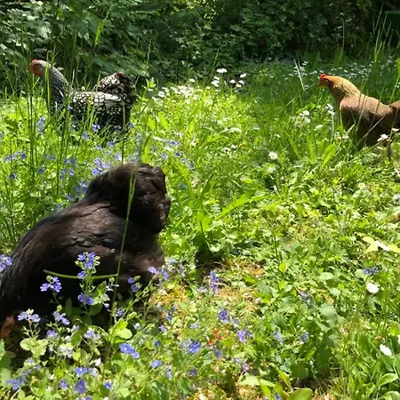 Le Jardin De 3* Fresnes-en-Woevre